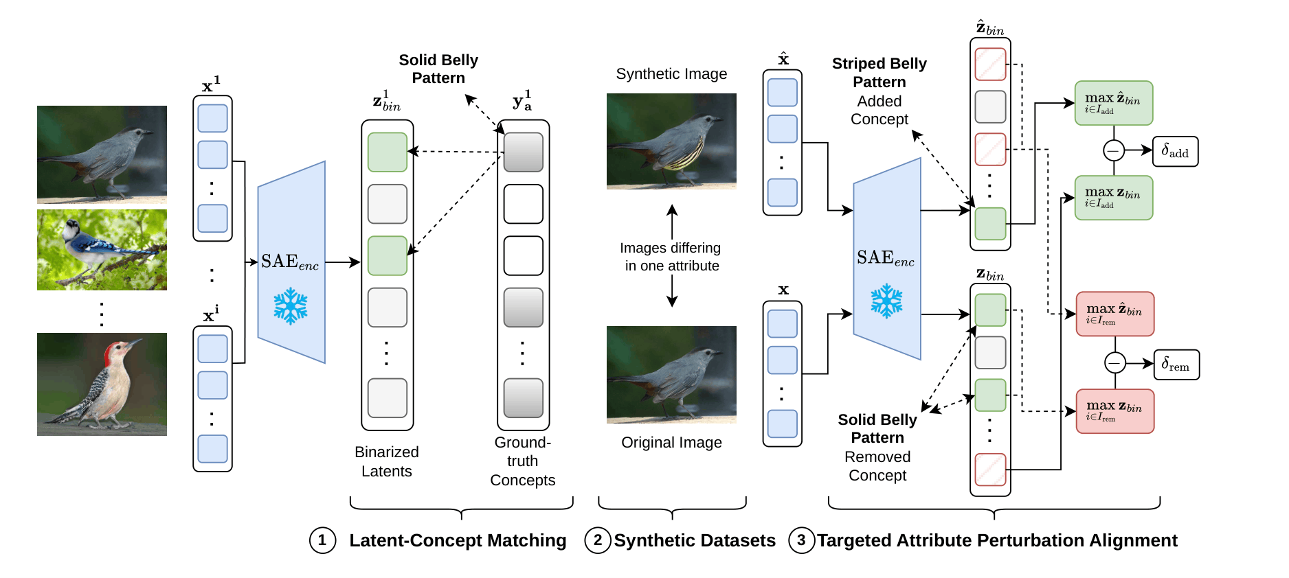 Figure for "Evaluating the Interpretability of Sparse Autoencoders with Concept Annotations"